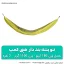 ننو پشه بند دار 2 نفره