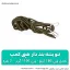 ننو پشه بند دار 2 نفره