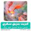 کبریت بنزینی سفری