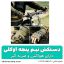 دستکش نیم پنجه تاکتیکال اوکلی