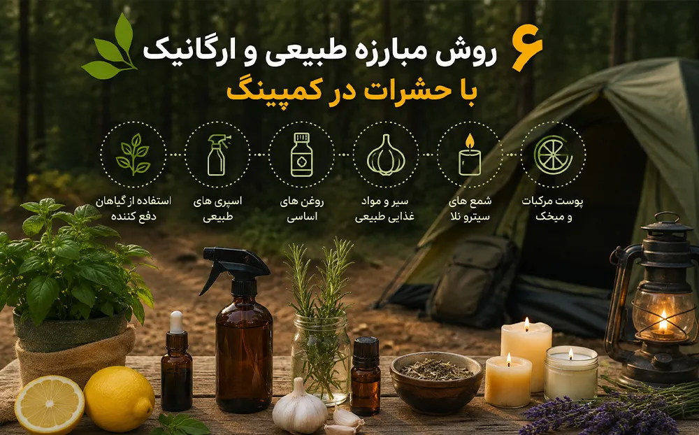 راهنمای جامع روش دفع حشرات در طبیعت و کوهنوردی