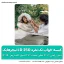 کیسه خواب تک نفره LD250 نیچرهایک
