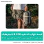 کیسه خواب تک نفره LD250 نیچرهایک