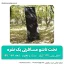 تخت تاشو مسافرتی یک نفره