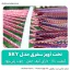 تخت آویز سفری مدل sky